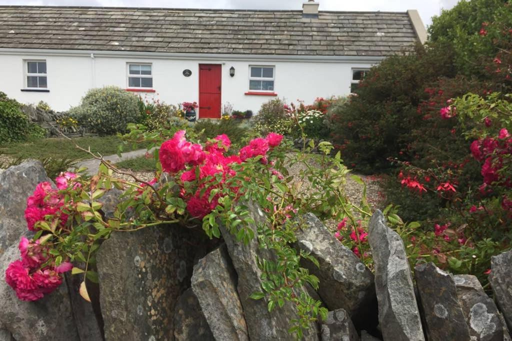 Red Stonecutters Cottage, Doolin Carrowauff Eksteriør bilde